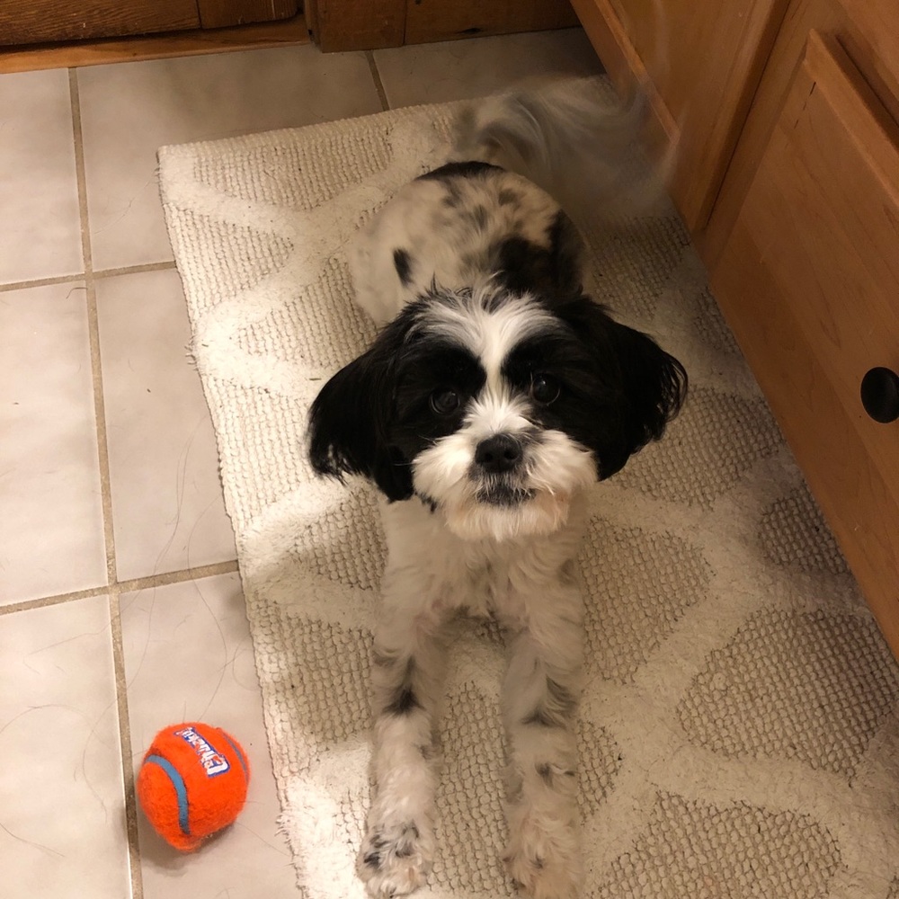 Meet your Posher, Kaitlin